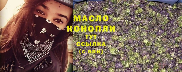 СК Алексин